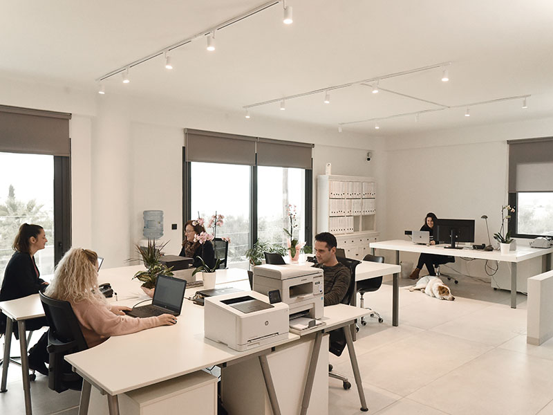 The Financial Department